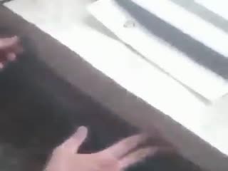 Наругал мурашей.