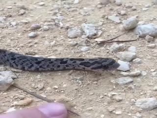 Что это с ней?