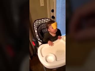 Меткий бросок сыра