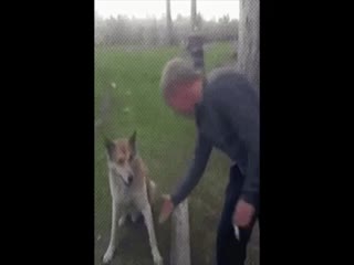 Правильное рукопожатие 