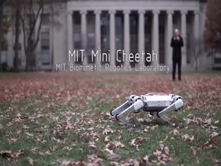 По-моему, нам конец