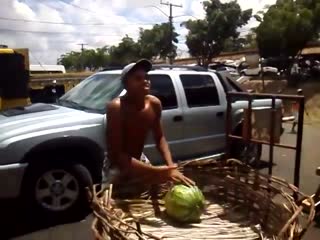 Эксперт по ловле арбузов