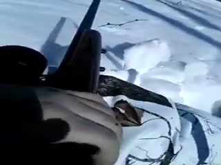 А может ну её , эту охоту?