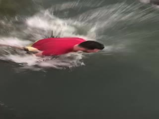 Пеликан ударом клюва проучил поймавшего его мужчину