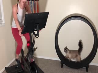 Спорт полезен не для всех