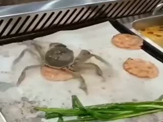Краб сам себя поджарил в кипящем масле