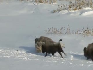 Помог другу...