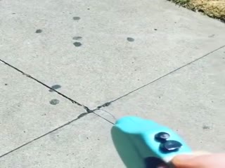 На прогулке