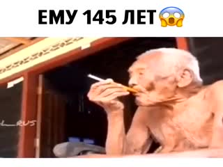Жив,курилка...