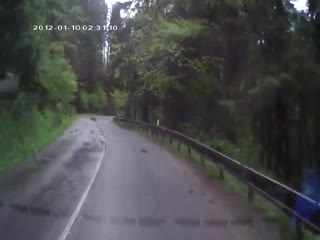 Страшный лес