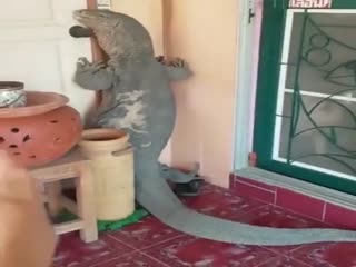 Нормальный день в Индонезии