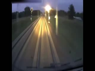 Олень выскочил под поезд в Польше