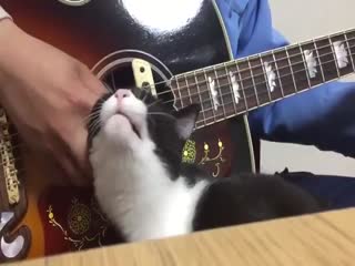 Жги, рви душу!