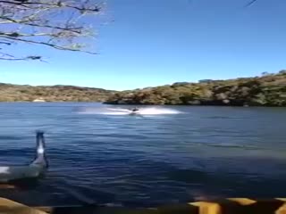 Попросил прокатиться