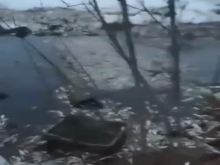 Сдохла вся рыба в озере Бисерово