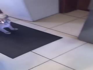 Не любит сниматься...