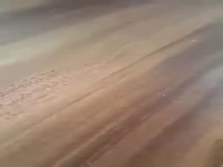 Рыбалка в Германии