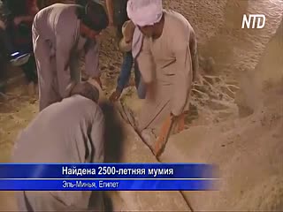 В Египте на забытом кладбище нашли 2500-летние мумии