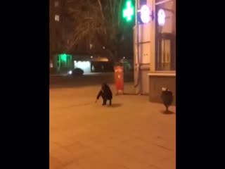 Потеплело... шизики оттаяли