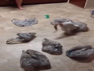 Полный расколбас