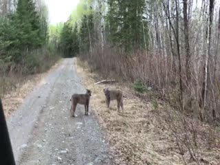 Серьезный разговор