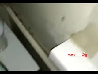 Тараканы бегают по детям