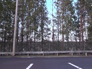 Вереница роботов тянет грузовик