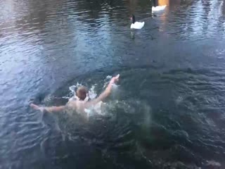 Межвидовая конкуренция