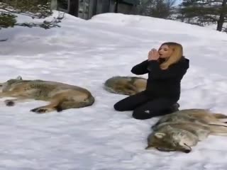 С волками жить....