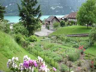 Зубчатая ретро-железная дорога Бриенц-Ротхорн