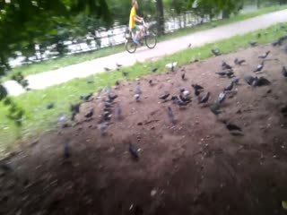  Сколько же на свете психов разгуливает без привязи