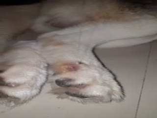 Паучок на паутинке?