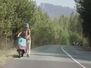 Братство хрустов