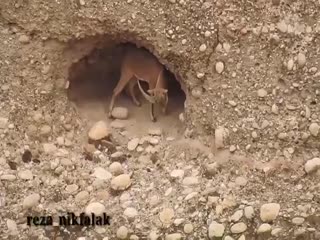 Вот это да...