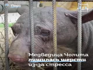 Первые минуты на свободе