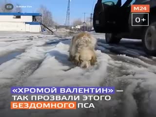 Доброта спасёт мир, а не красота...