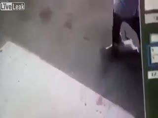 Внезапного нападения агрессивной кошки на мэра мексиканского города