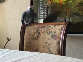 Ух ты какой...