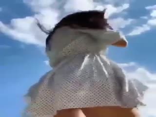 Уйди с-собака!