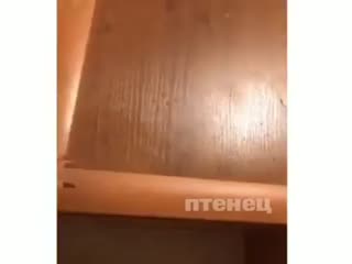 Муж помыл посуду