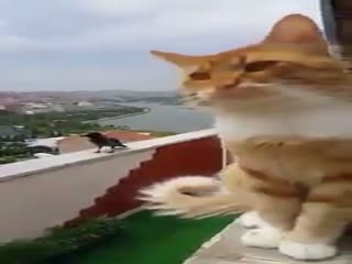 Обсудили условия