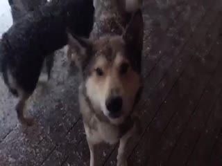 Какая у вас погода?