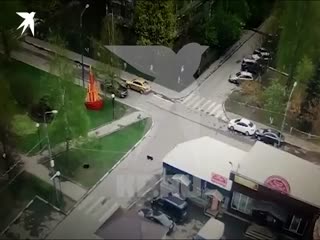Переехал собаку во дворе