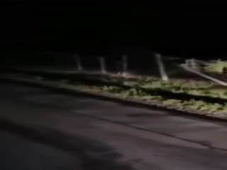 Вопли на кладбище