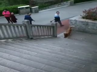 Вы меня не правильно поняли