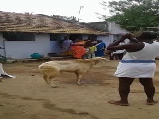 Не можешь-не берись...