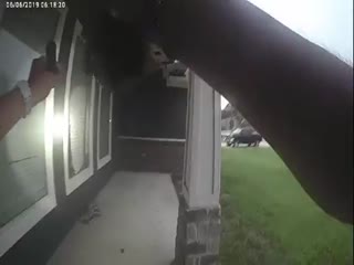 Приехавших во всеоружии на вызов американских полицейских ждал сюрприз .