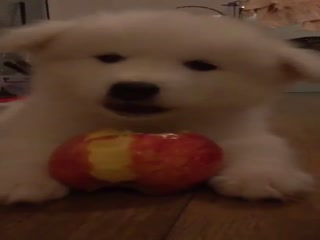 Нет,ну вы это видели?