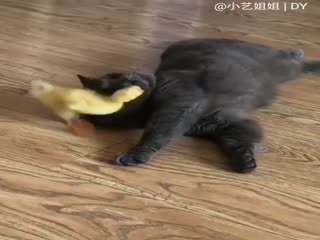 Усатый нянь