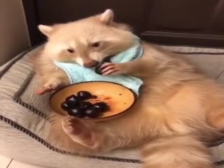 Жизнь удалась!